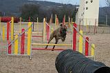 AGILITY - SAUT 219